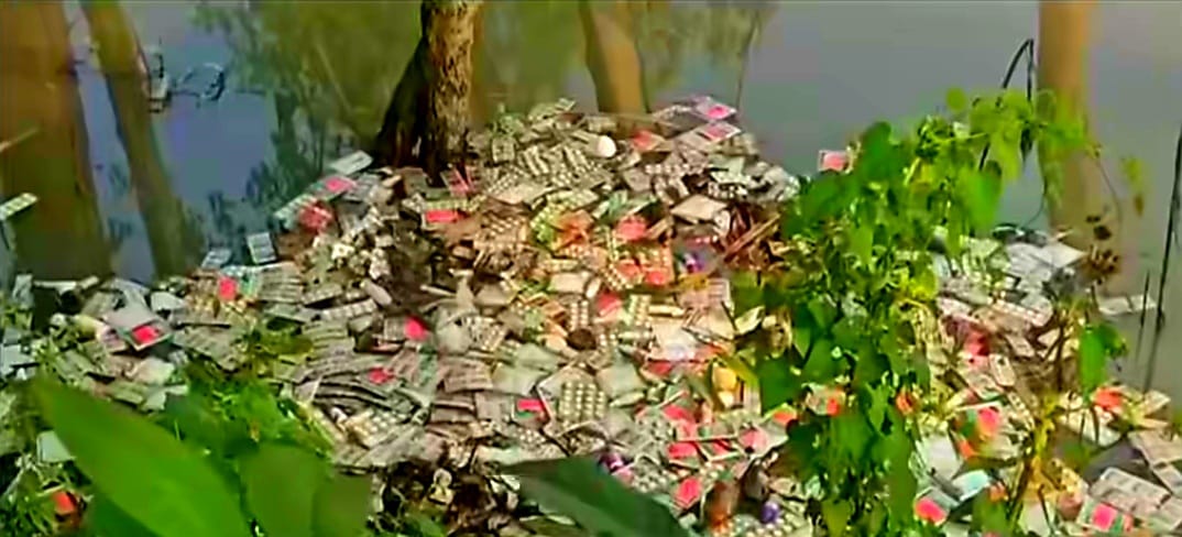 ইসলামপুরে ডোবার পানিতে ভাসছে সরকারি ওষুধ