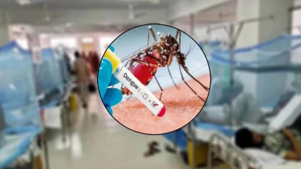 ডেঙ্গুতে ৮ জনের মৃত্যু, ২৪ ঘণ্টায় হাসপাতালে ভর্তির রেকর্ড