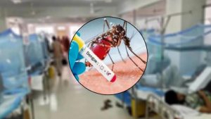 ডেঙ্গুতে ৮ জনের মৃত্যু, ২৪ ঘণ্টায় হাসপাতালে ভর্তির রেকর্ড